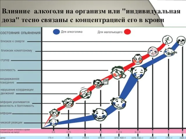 Влияние алкоголя на организм или "индивидуальная доза" тесно связаны с концентрацией его в крови