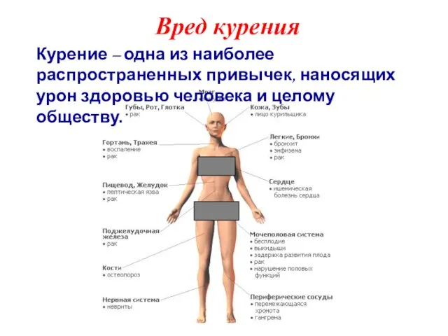 Вред курения Курение – одна из наиболее распространенных привычек, наносящих урон здоровью человека и целому обществу.