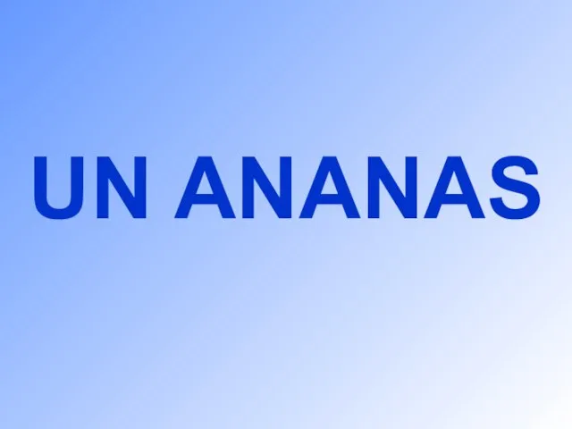 UN ANANAS