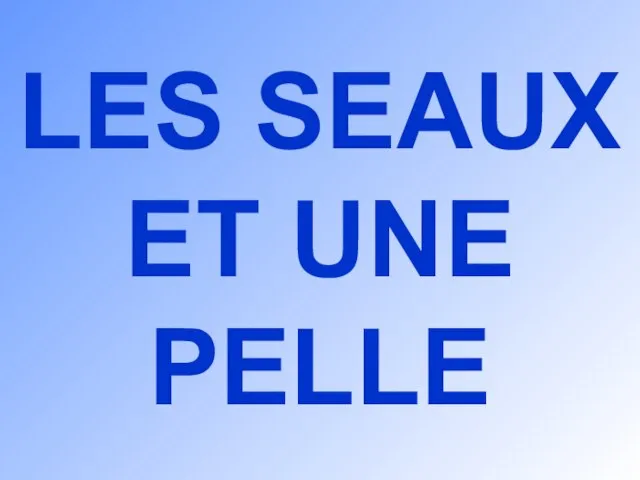 LES SEAUX ET UNE PELLE