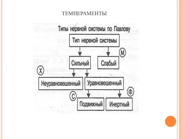 темпераменты