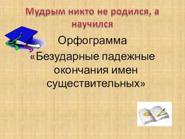 Орфограмма «Безударные падежные окончания имен существительных»