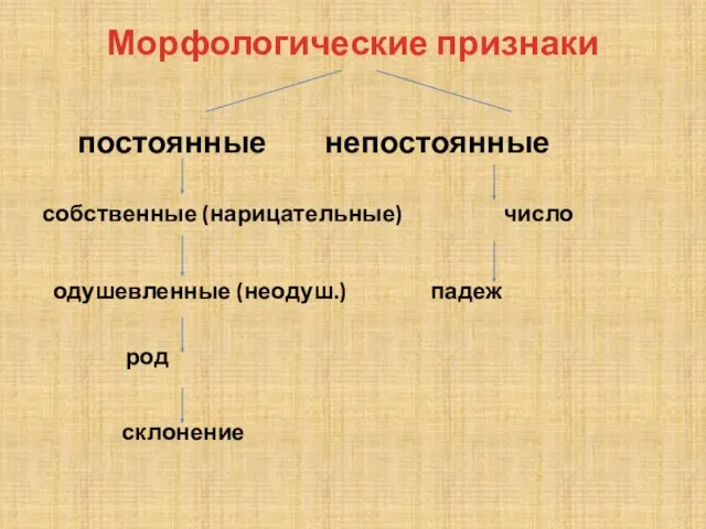 Морфологические признаки постоянные непостоянные собственные (нарицательные) число одушевленные (неодуш.) падеж род склонение