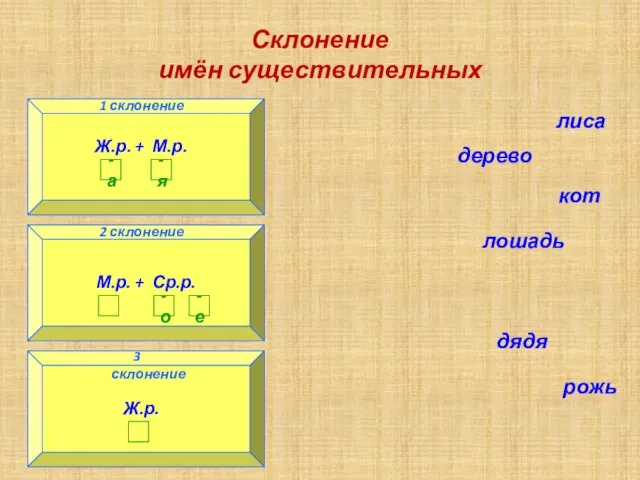 Склонение имён существительных 1 склонение 3 склонение 2 склонение лиса дерево кот лошадь дядя рожь