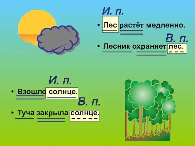 Взошло солнце. Туча закрыла солнце. Лес растёт медленно. Лесник охраняет лес. И.