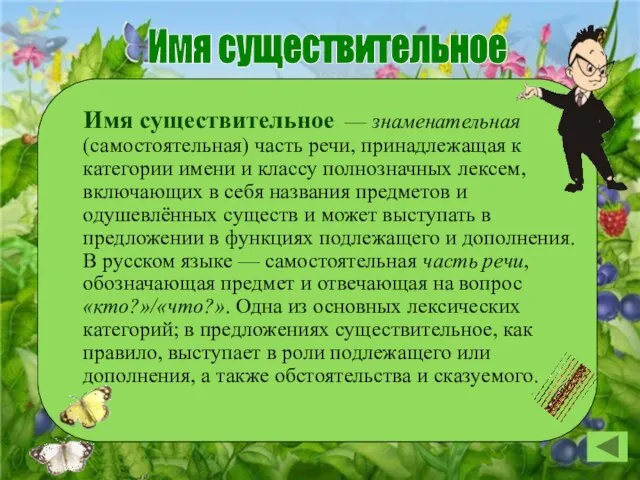 Имя существительное