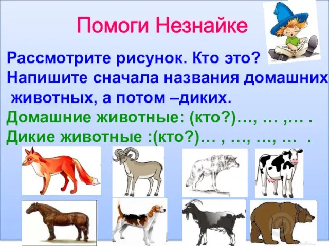 Помоги Незнайке Рассмотрите рисунок. Кто это? Напишите сначала названия домашних животных, а