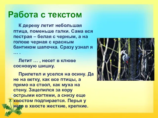 Работа с текстом К дереву летит небольшая птица, поменьше галки. Сама вся