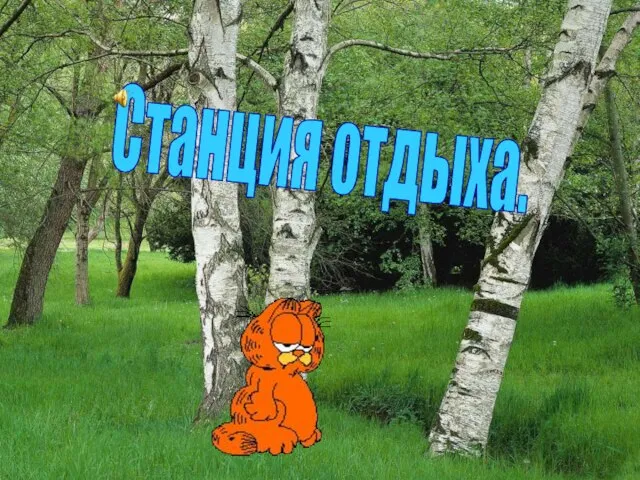 Станция отдыха.