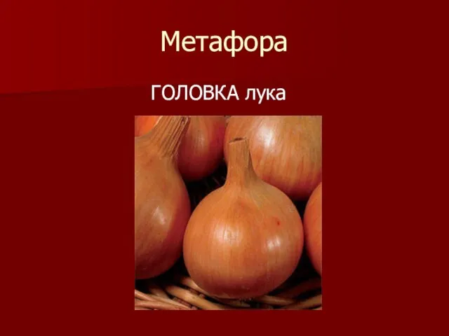 Метафора ГОЛОВКА лука