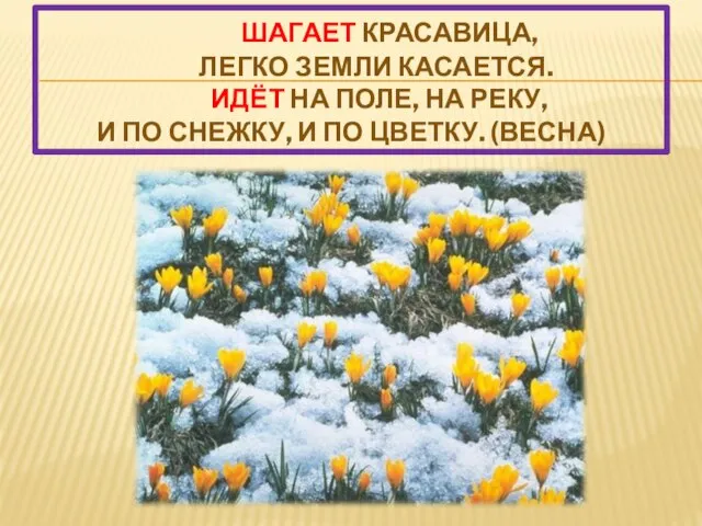 Шагает красавица, Легко земли касается. Идёт на поле, на реку, И по