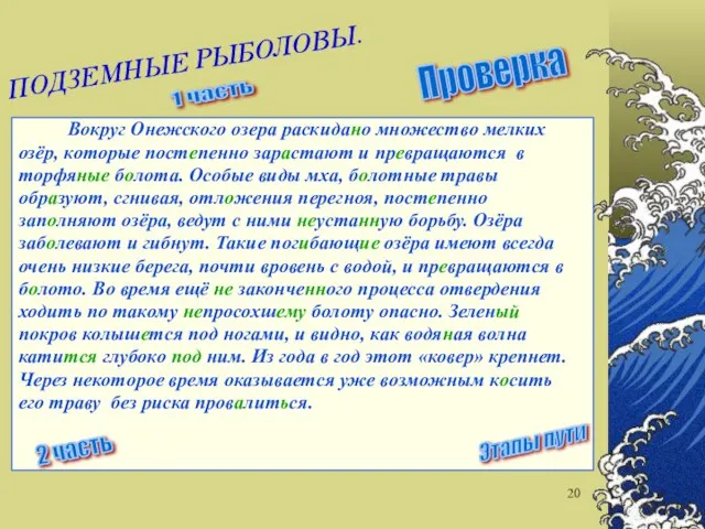 Вокруг Онежского озера раскидано множество мелких озёр, которые постепенно зарастают и превращаются