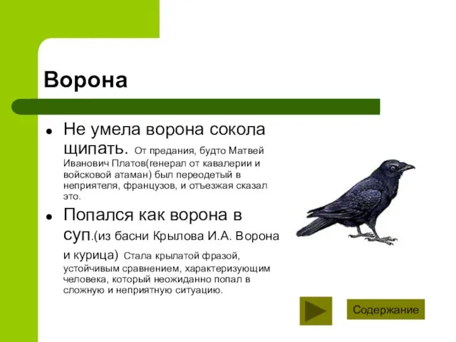 Ворона Не умела ворона сокола щипать. От предания, будто Матвей Иванович Платов(генерал