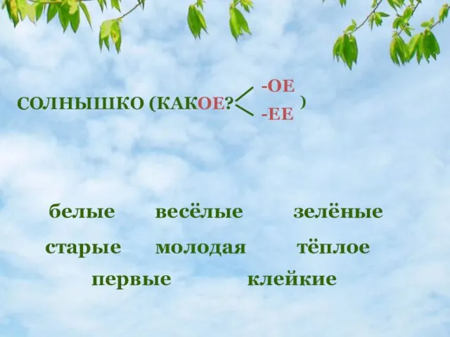 белые весёлые зелёные старые молодая тёплое первые клейкие СОЛНЫШКО (КАКОЕ? -ОЕ -ЕЕ )