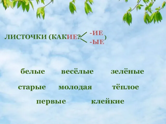 зелёные ЛИСТОЧКИ (КАКИЕ? -ИЕ -ЫЕ ) белые весёлые старые молодая первые клейкие тёплое