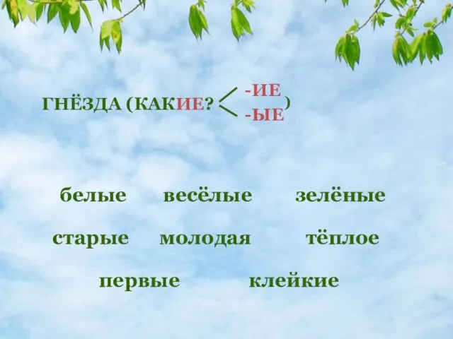 ГНЁЗДА (КАКИЕ? -ИЕ -ЫЕ ) белые зелёные весёлые старые молодая первые клейкие тёплое