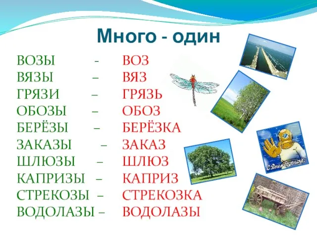 Много - один ВОЗЫ - ВЯЗЫ – ГРЯЗИ – ОБОЗЫ – БЕРЁЗЫ