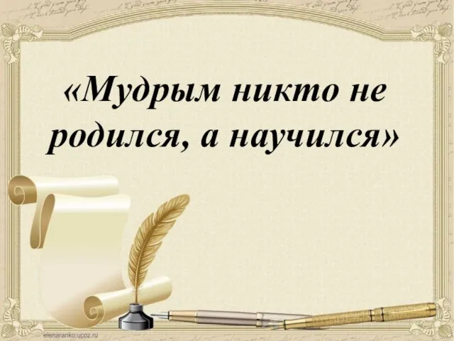 «Мудрым никто не родился, а научился»