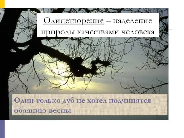 Олицетворение – наделение природы качествами человека Олицетворение – наделение природы качествами человека