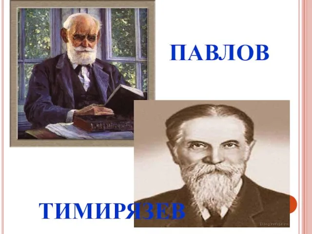 ПАВЛОВ ТИМИРЯЗЕВ