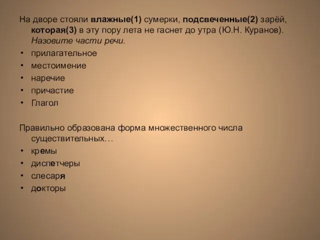 На дворе стояли влажные(1) сумерки, подсвеченные(2) зарёй, которая(3) в эту пору лета