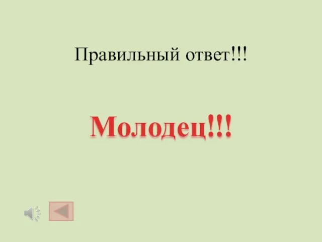 Правильный ответ!!! Молодец!!!