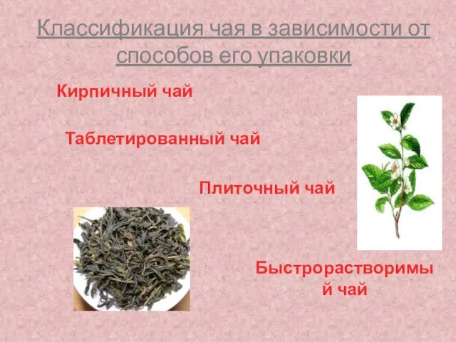 Классификация чая в зависимости от способов его упаковки Кирпичный чай Плиточный чай Таблетированный чай Быстрорастворимый чай