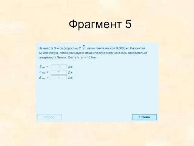 Фрагмент 5