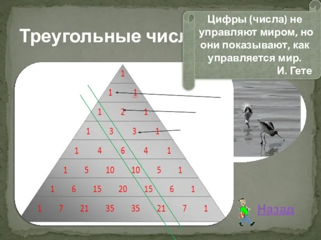 Треугольные числа Назад Цифры (числа) не управляют миром, но они показывают, как управляется мир. И. Гете