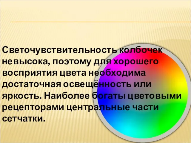 Светочувствительность колбочек невысока, поэтому для хорошего восприятия цвета необходима достаточная освещённость или