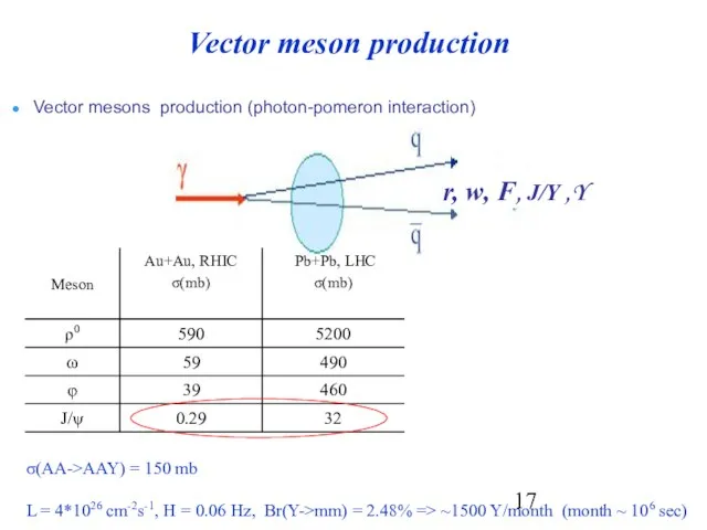 Vector mesons production (photon-pomeron interaction) σ(AA->AAY) = 150 mb L = 4*1026