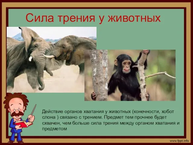 Сила трения у животных Действие органов хватания у животных (конечности, хобот слона