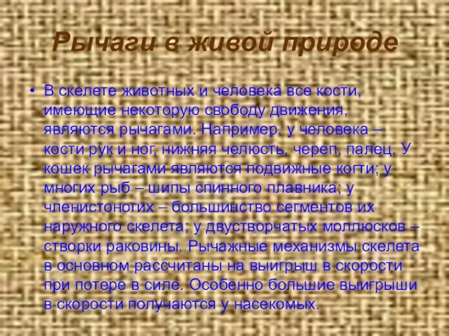 Рычаги в живой природе В скелете животных и человека все кости, имеющие