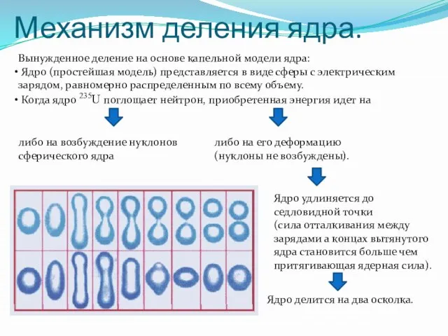 Вынужденное деление на основе капельной модели ядра: Ядро (простейшая модель) представляется в