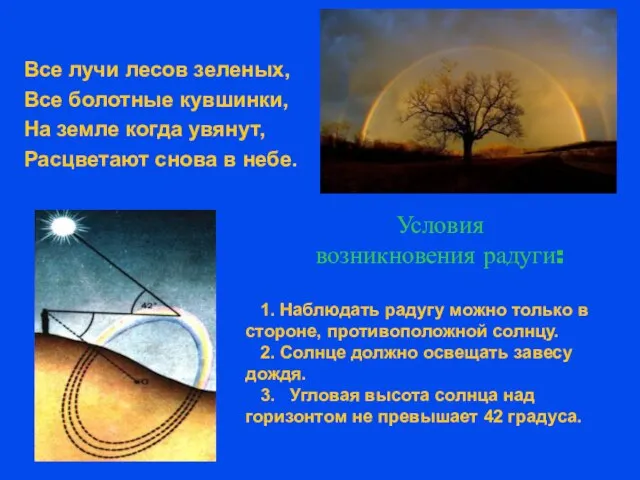 Условия возникновения радуги: Все лучи лесов зеленых, Все болотные кувшинки, На земле