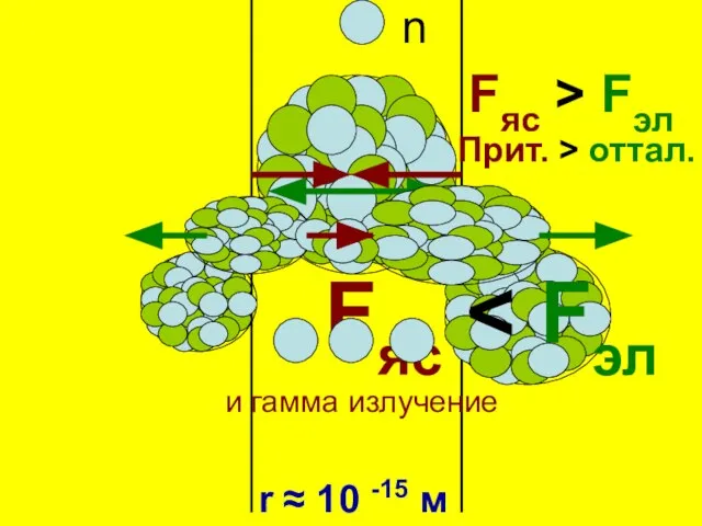 Fяс > Fэл Прит. > оттал. r ≈ 10 -15 м Fяс n и гамма излучение