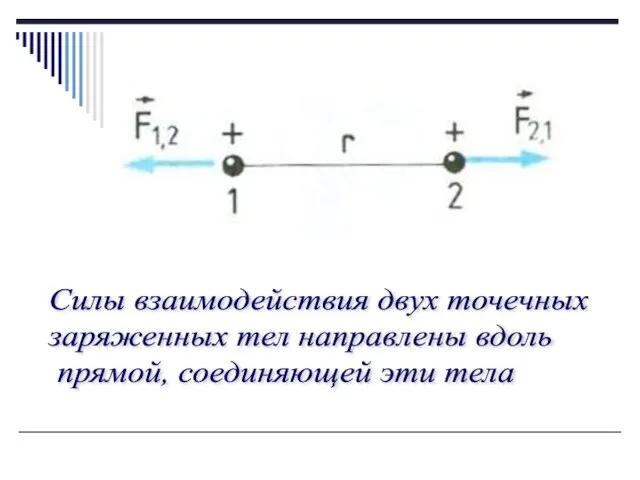 Силы взаимодействия двух точечных заряженных тел направлены вдоль прямой, соединяющей эти тела