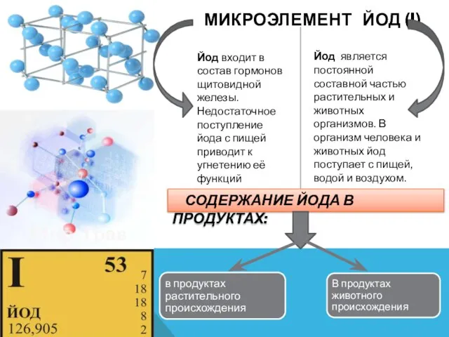 Микроэлемент Йод (I) Йод входит в состав гормонов щитовидной железы. Недостаточное поступление