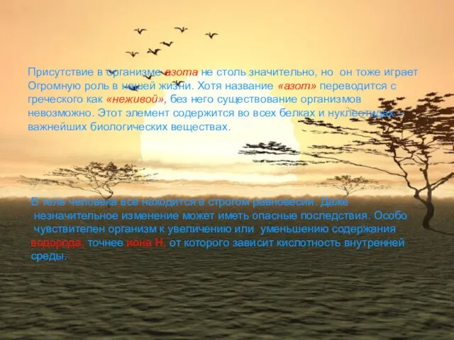 Присутствие в организме азота не столь значительно, но он тоже играет Огромную