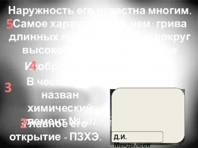 Наружность его известна многим. Самое характерное в нем: грива длинных пушистых волос