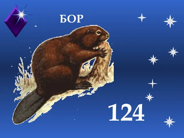 БОР 124