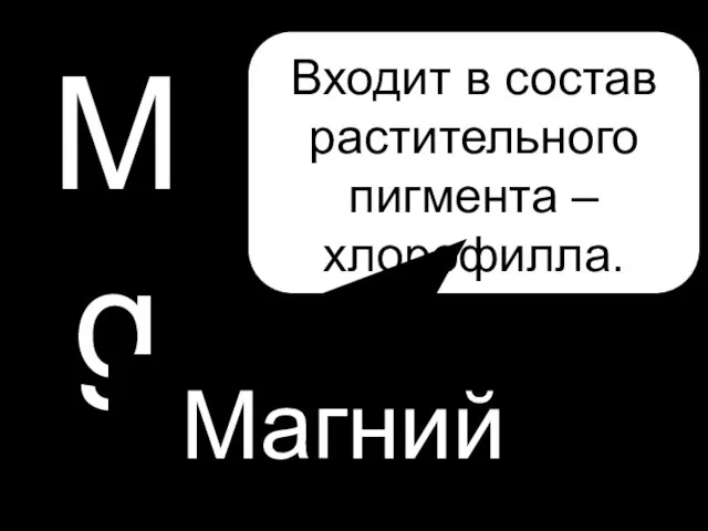 P Mg Магний Входит в состав растительного пигмента – хлорофилла.