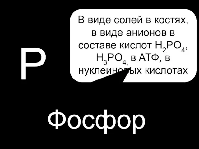 P P Фосфор В виде солей в костях, в виде анионов в