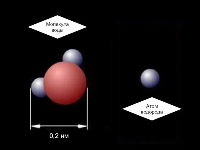 Атом водорода Молекула воды 0,2 нм