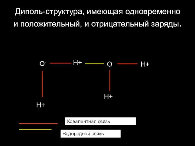 Диполь-структура, имеющая одновременно и положительный, и отрицательный заряды. Ковалентная связь Водородная связь