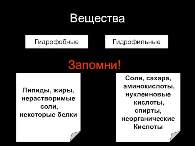 Вещества Гидрофобные Гидрофильные Запомни! Липиды, жиры, нерастворимые соли, некоторые белки Соли, сахара,