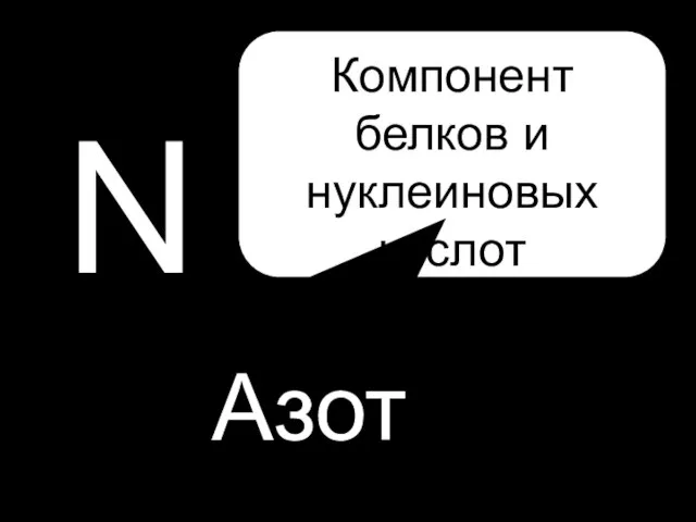 N Азот Компонент белков и нуклеиновых кислот