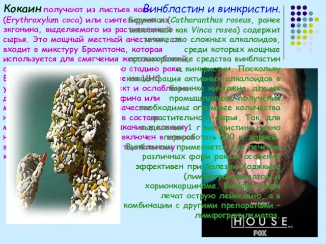 Кокаин получают из листьев коки (Erythroxylum coca) или синтезируют из экгонина, выделяемого