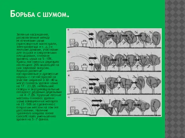 Борьба с шумом. Зеленые насаждения, располагаемые между источниками шума (транспортные магистрали, электропоезда