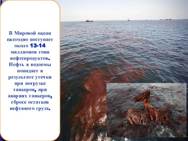 В Мировой океан ежегодно поступает около 13-14 миллионов тонн нефтепродуктов. Нефть в